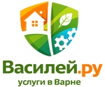Vasiley.ru