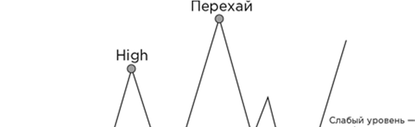 Иллюстрация, страница 137