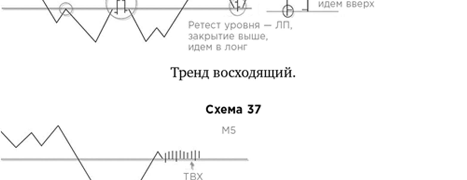 Иллюстрация, страница 178